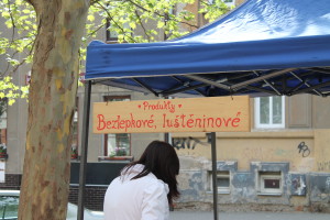IMG_5827bezlepkove
