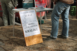 IMG_5829kraliky
