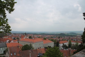 vyhlad