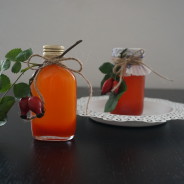 Recept: šípkový sirup