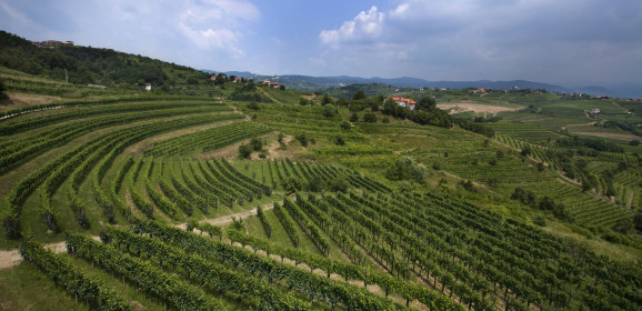 Slovinsko: malá země, velká vína
